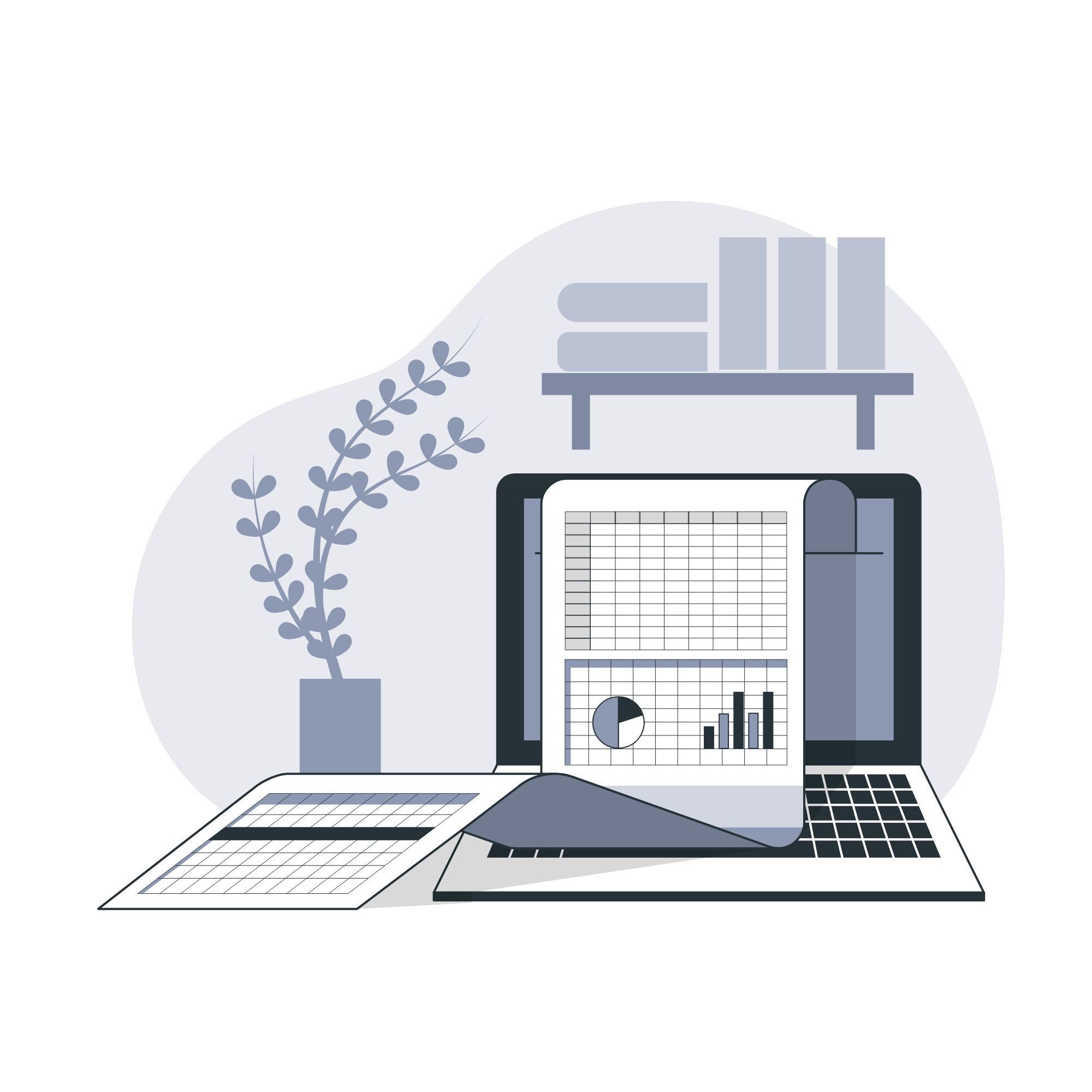 Financial tools in action